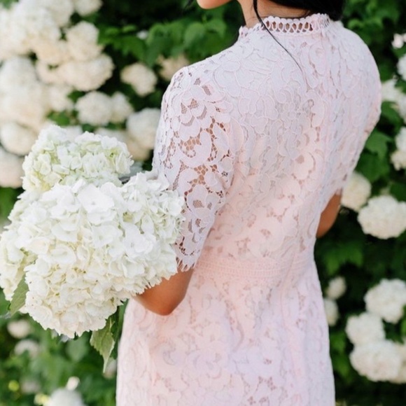 Rachel Parcell Blush Lace Midi Dress - Picture 2 of 15